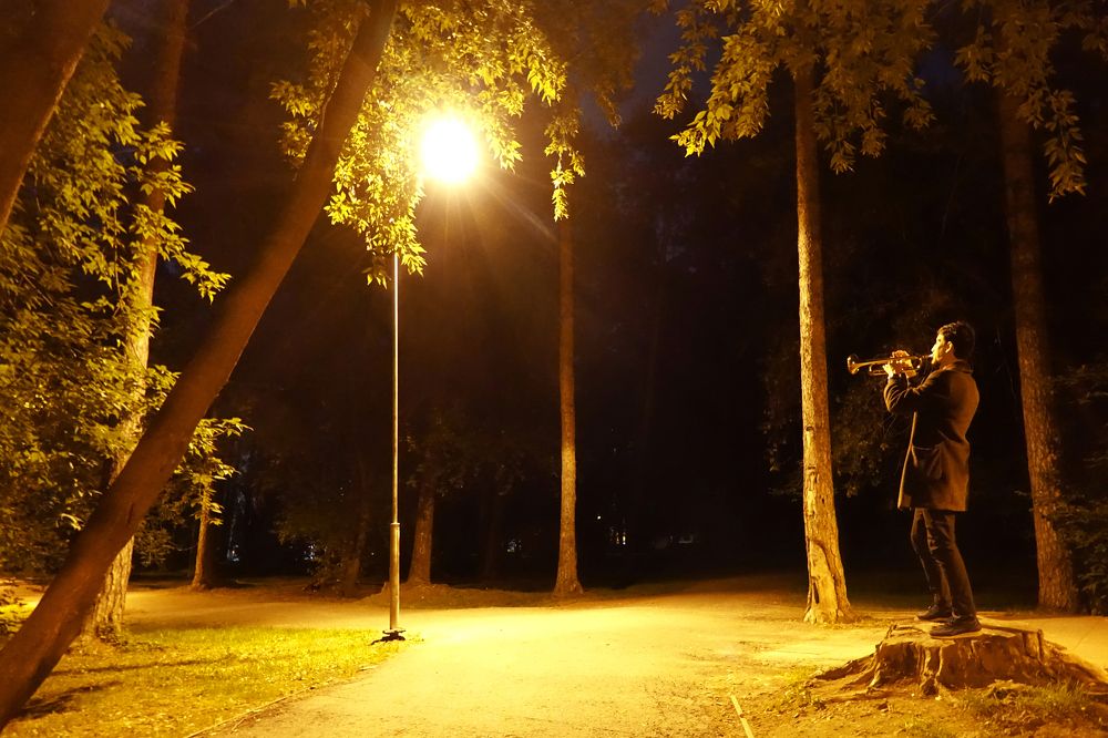 Волшебная мелодия звучит в ночи…