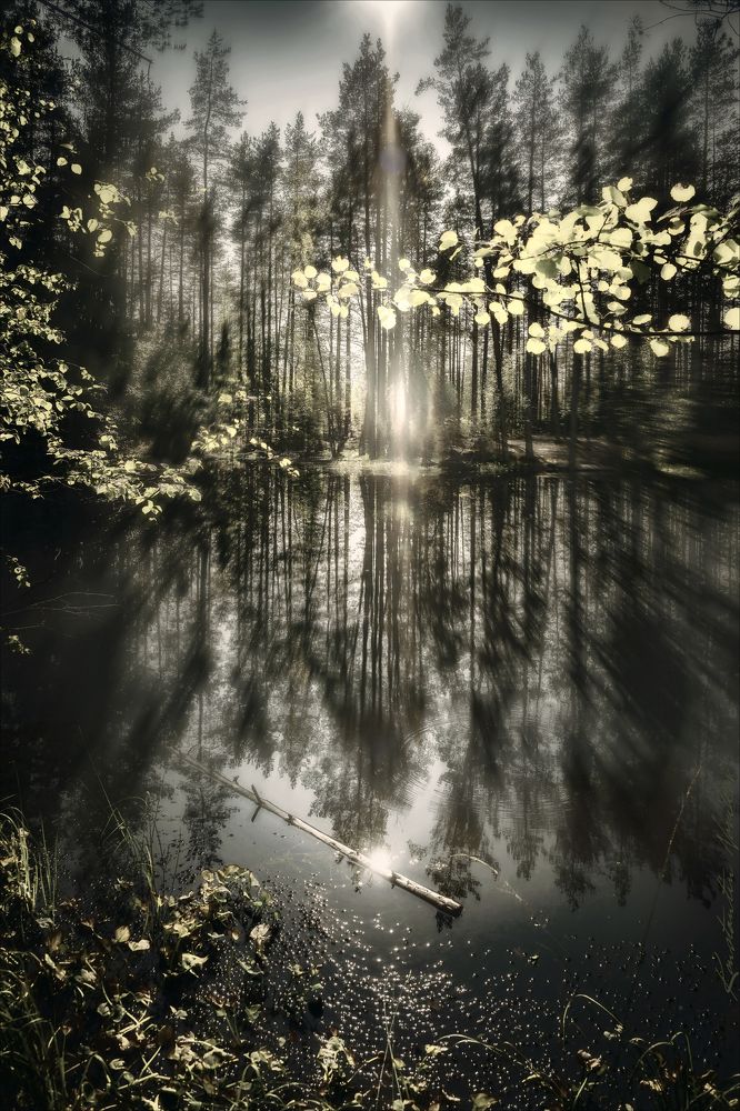 Сны Безымянного озера