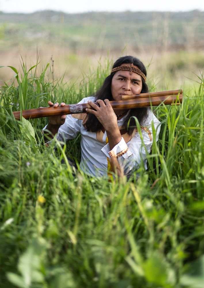 The Last of the Mohicans