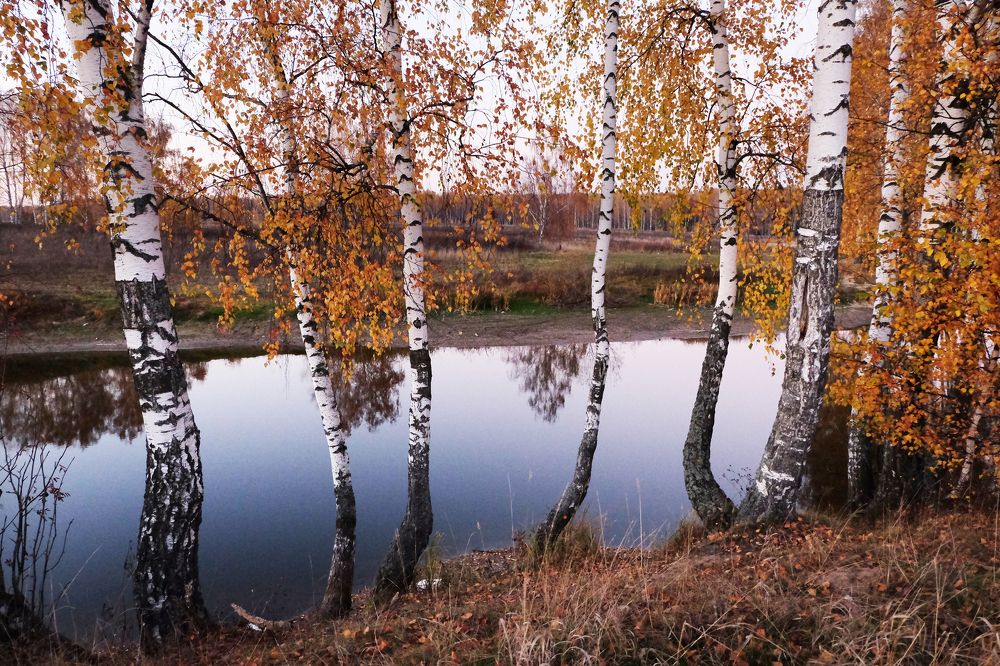 Photograph by Anna Saltykowa