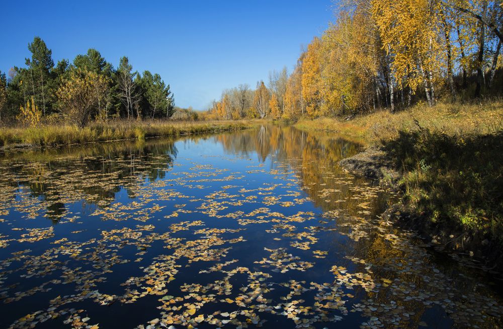 Осень, облетают листья.