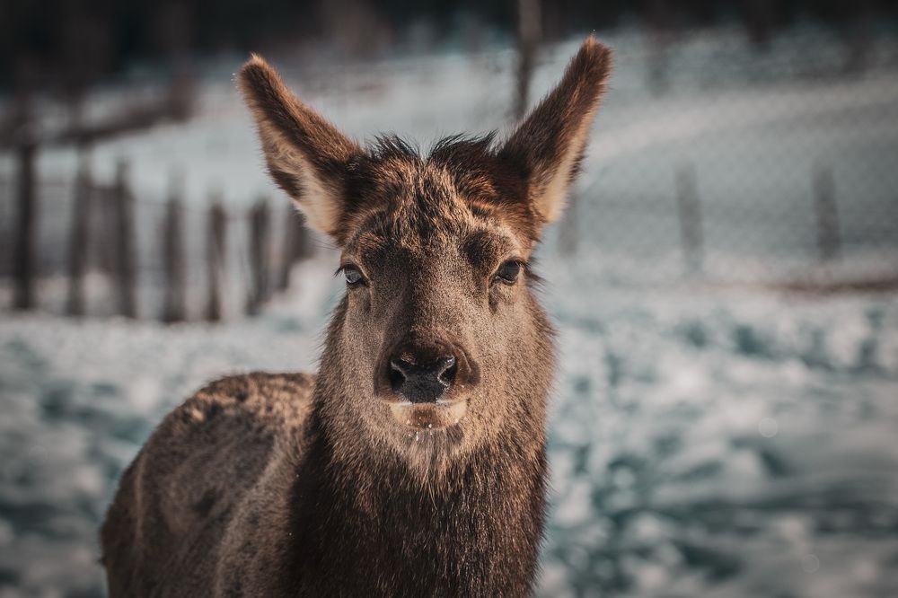 Photograph by Иоанн Степанченко
