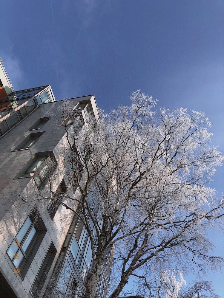 Сold crystal winter