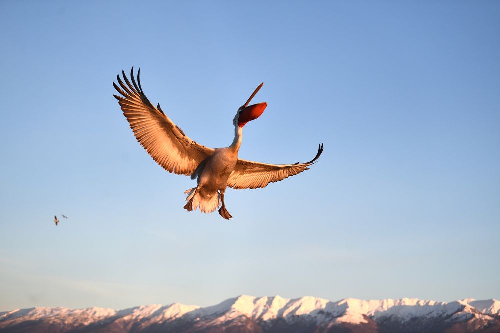 Up over the mountain peaks.