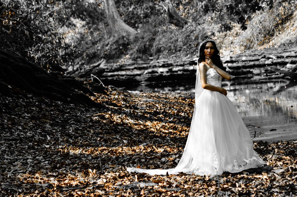 Beauty In The Darkness