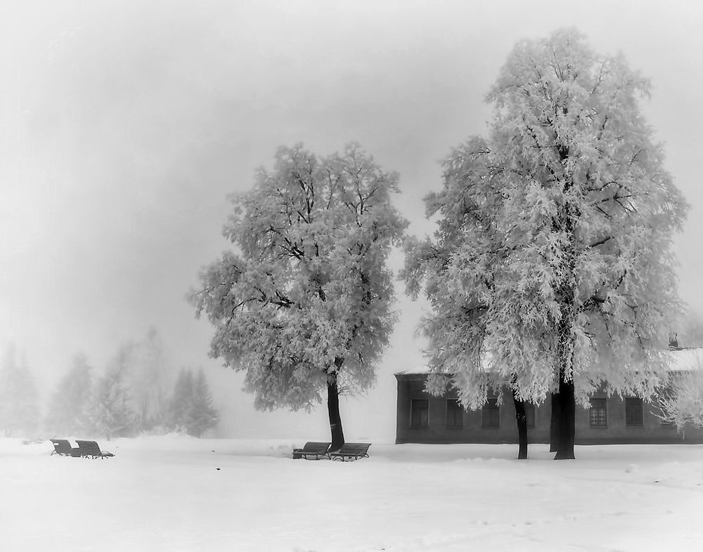 Зимним днем