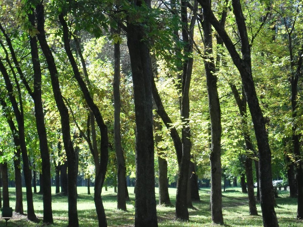 Контрасты лета