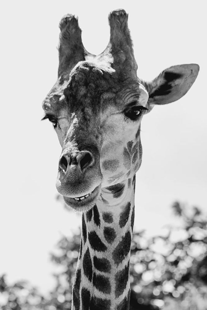 Photograph by Олеся Переверзева