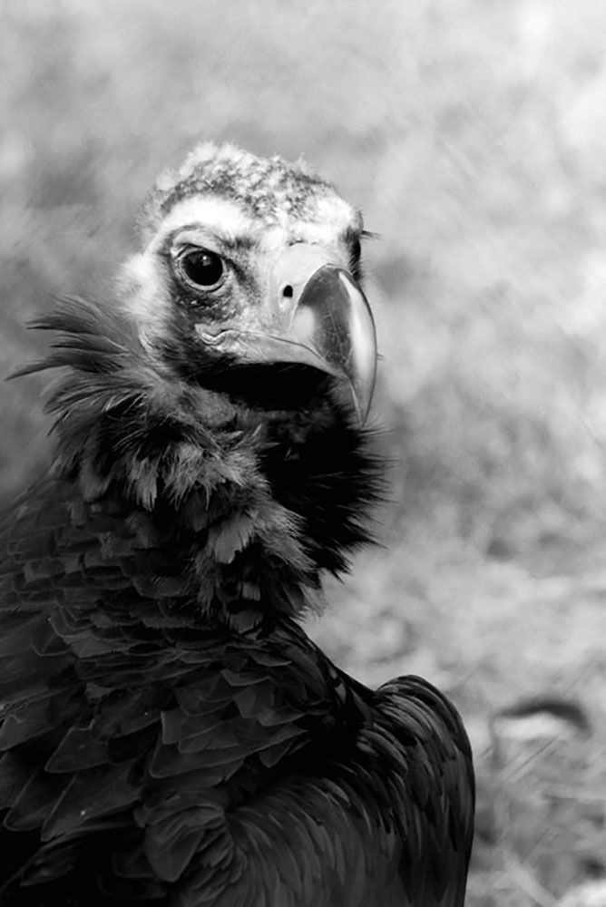 Photograph by Олеся Переверзева