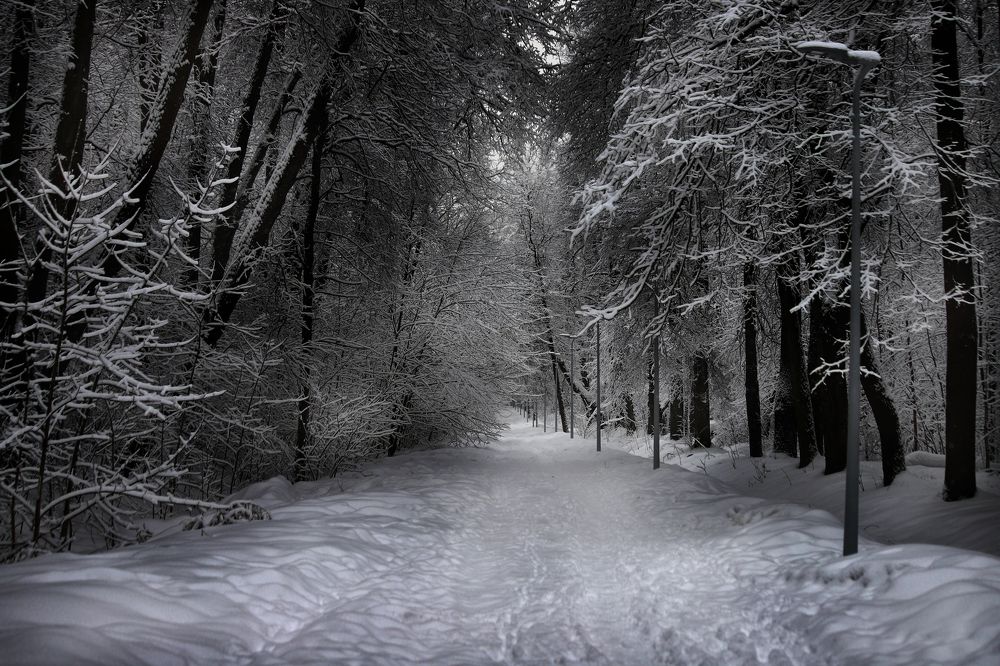Февраль. Когда зима не отступает...