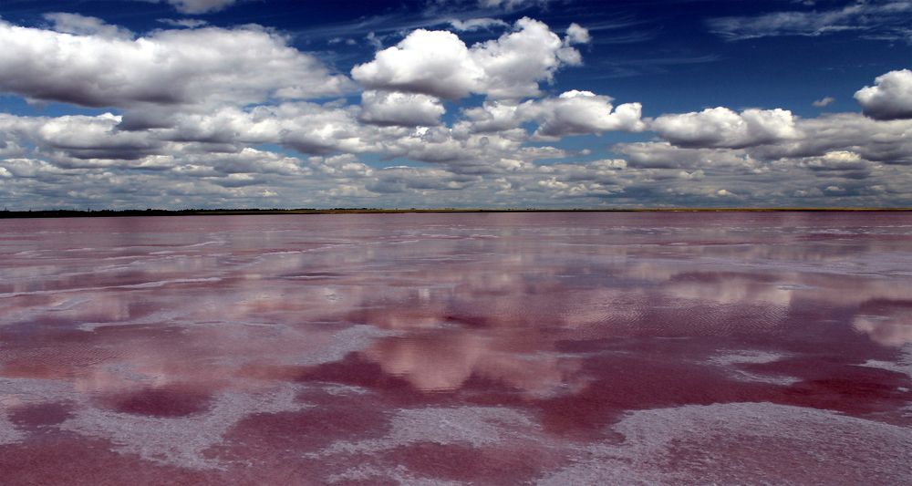 Photograph by Алексей Мехедов