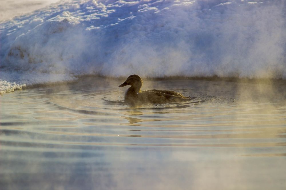 Минута тишины