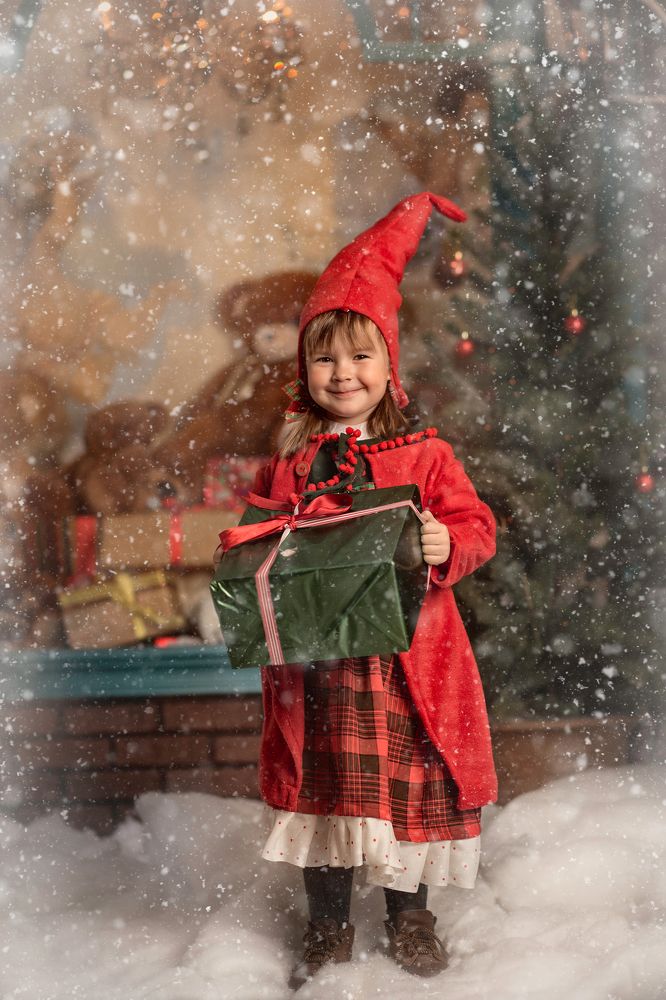 РОЖДЕСТВЕНСКИЙ ГНОМ