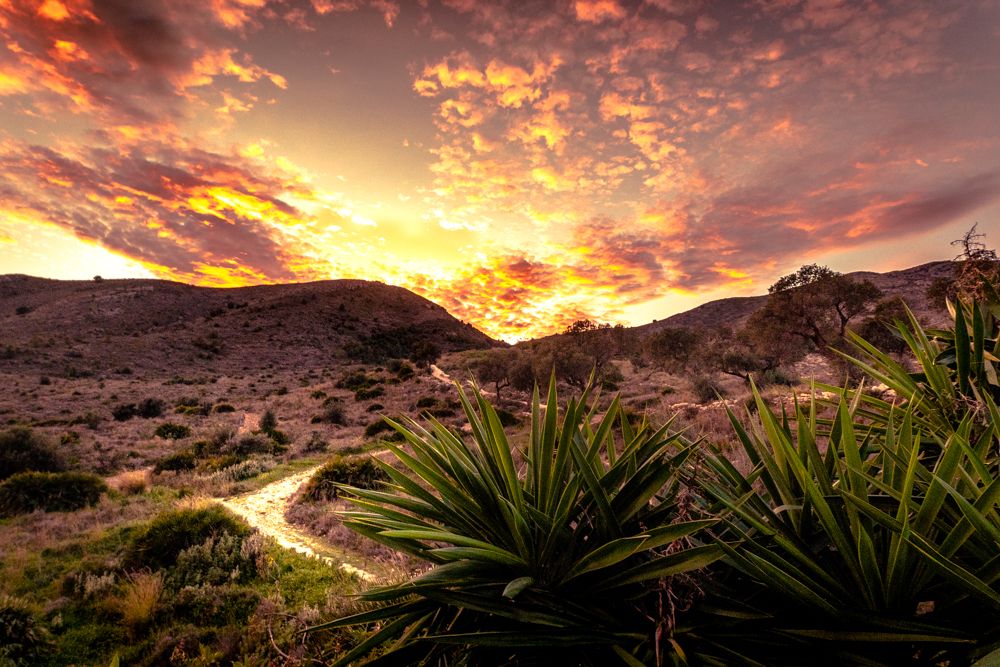 Atardecer en Torremolinos