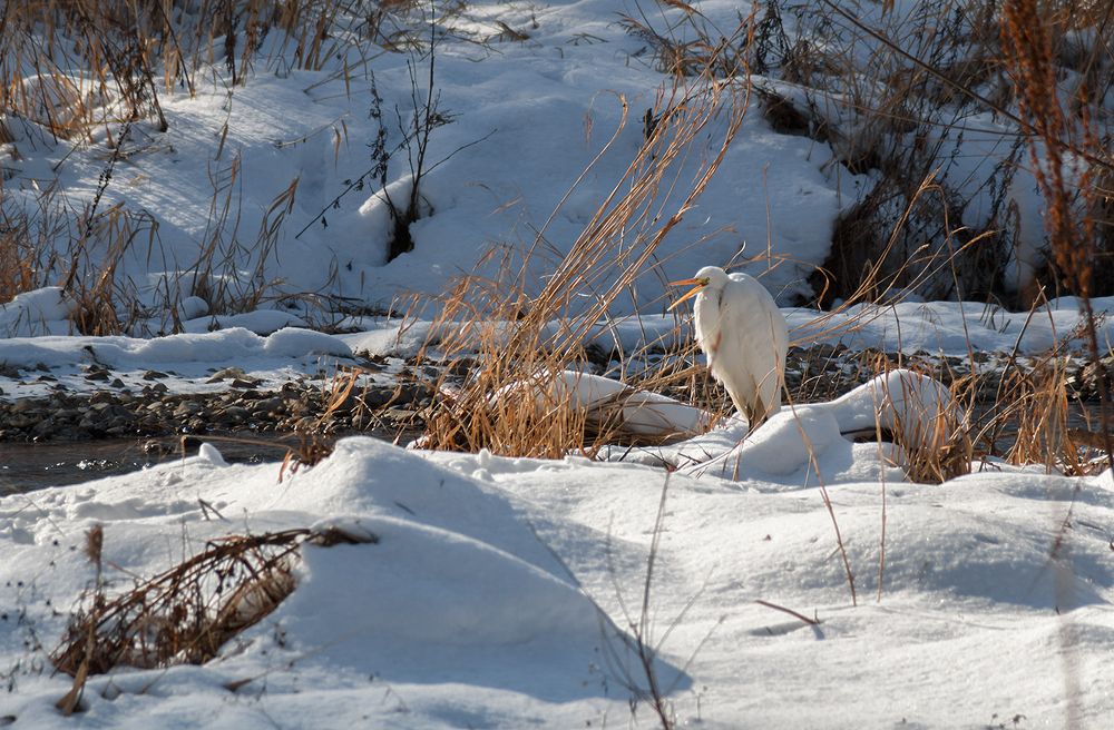 Большая Я :)