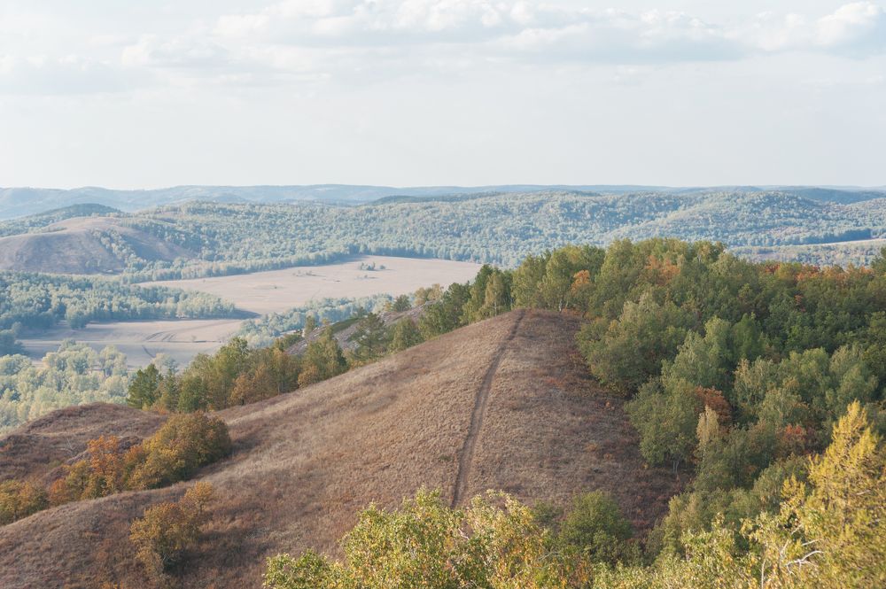 Путь к вершине.