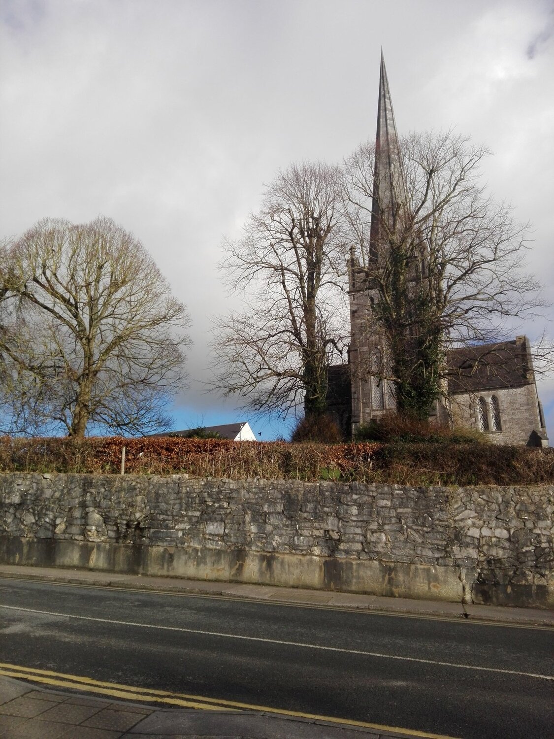 Castle and trees