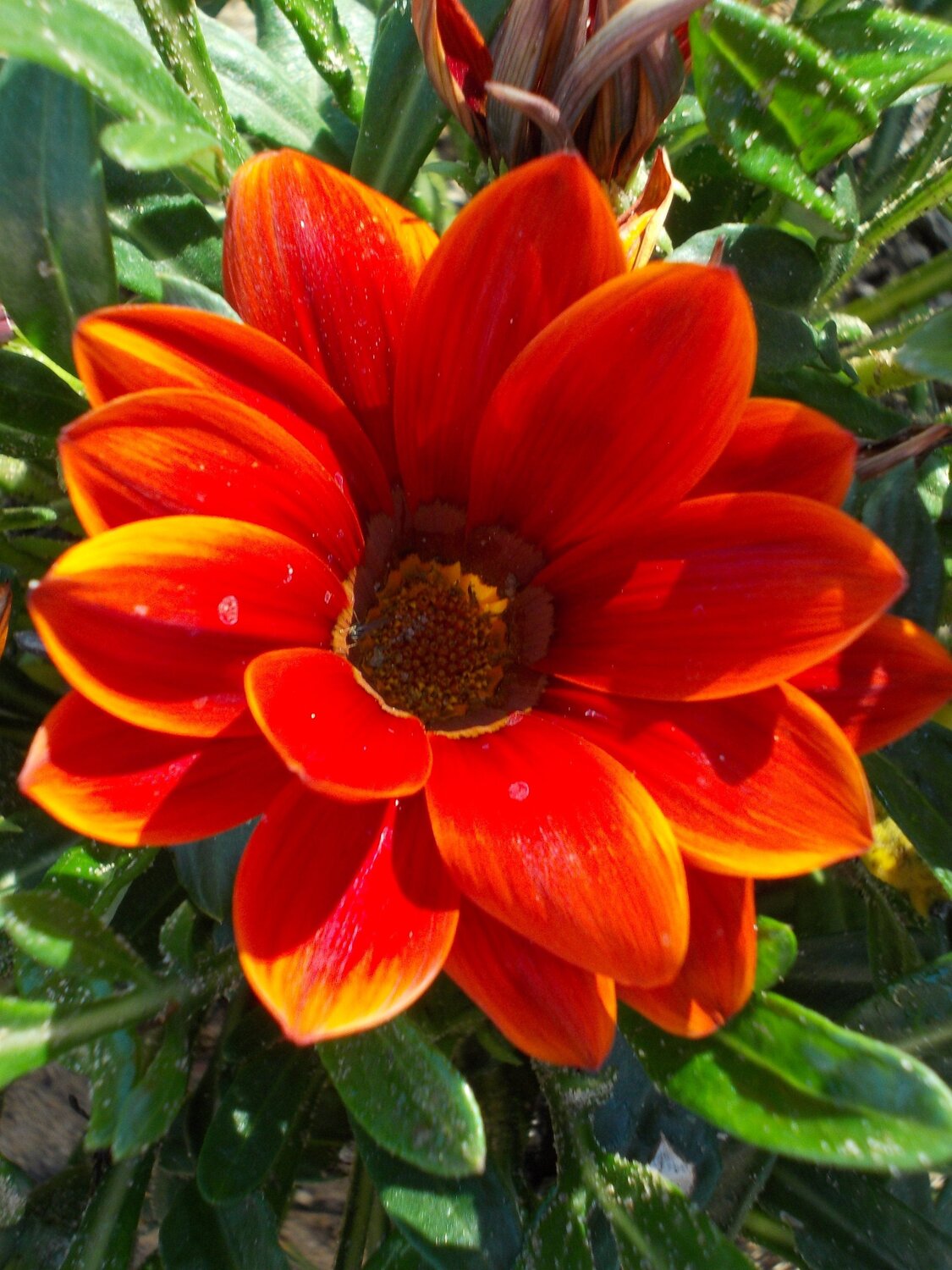 So red