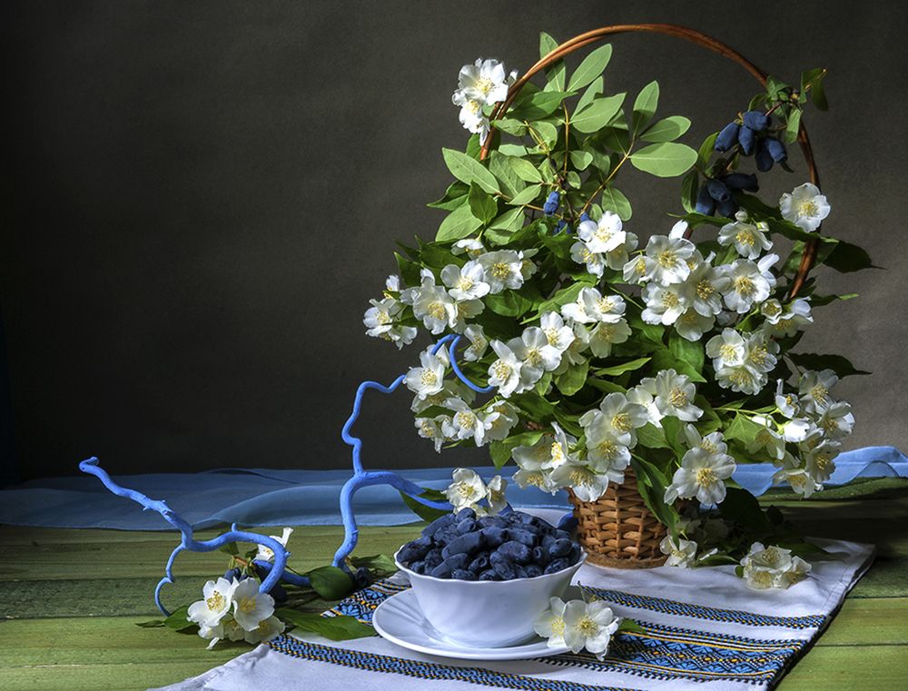 Натюрморт с жимолостью
