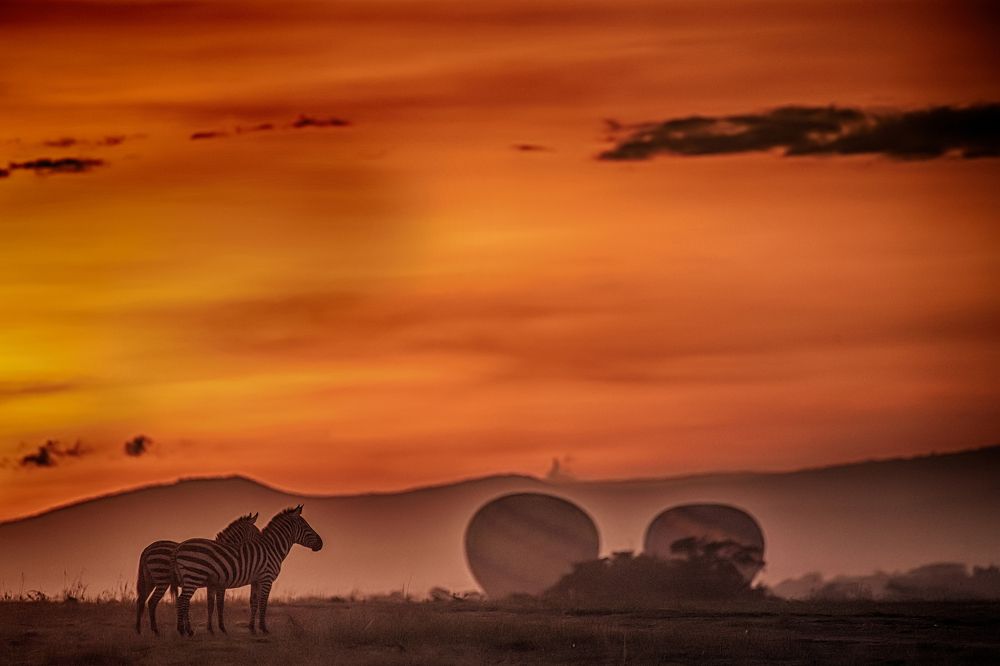 Magical Mara Morning
