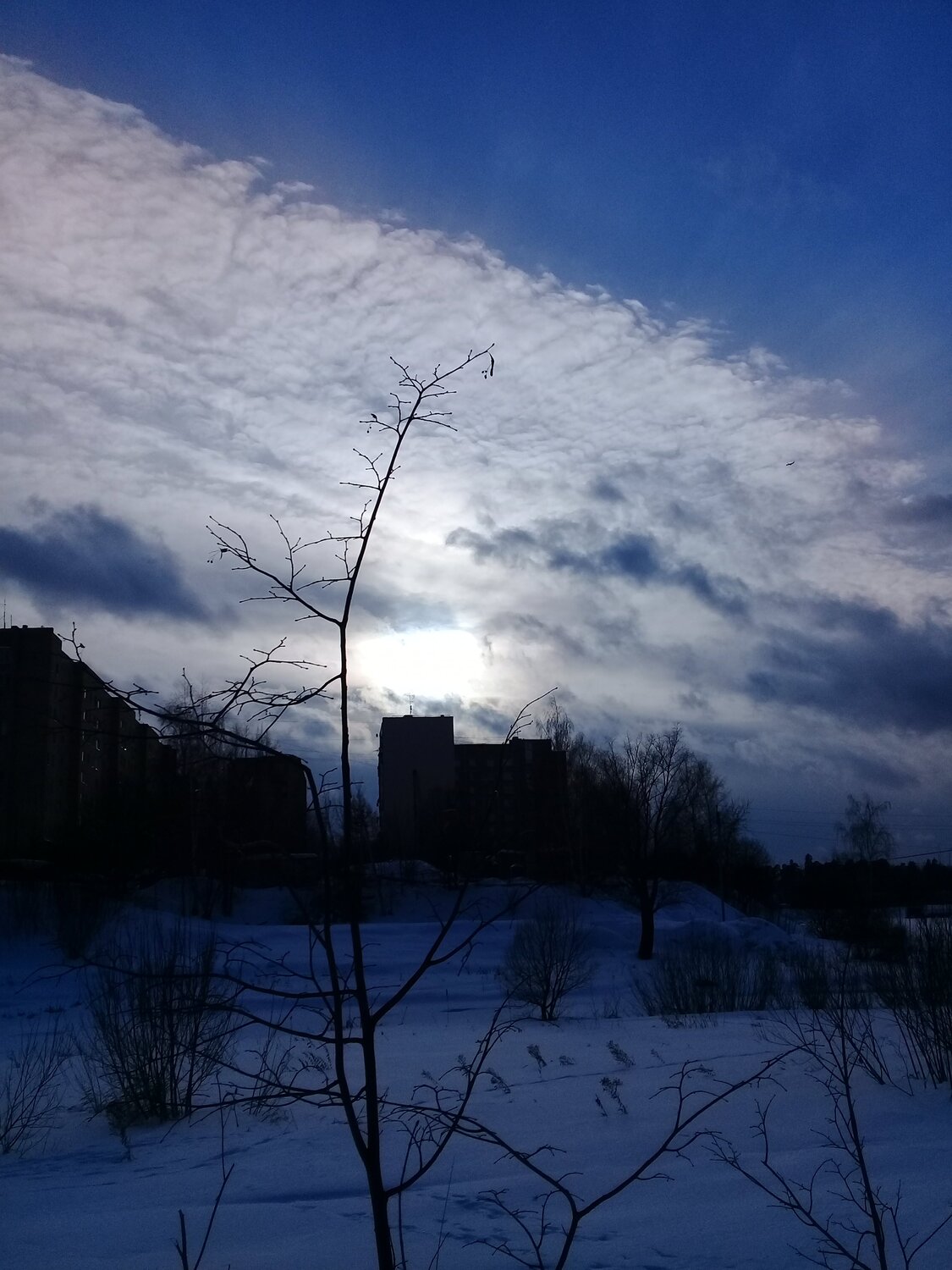 Дом
