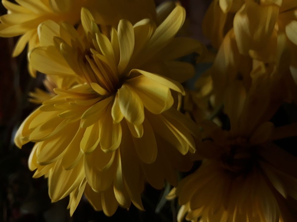 Пробуждение