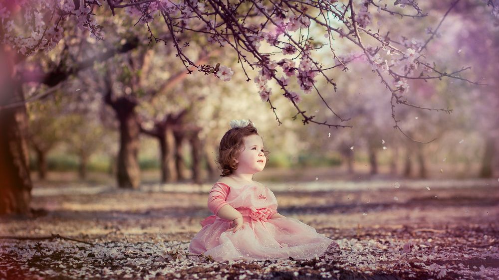 Photograph by Ilya Zilber