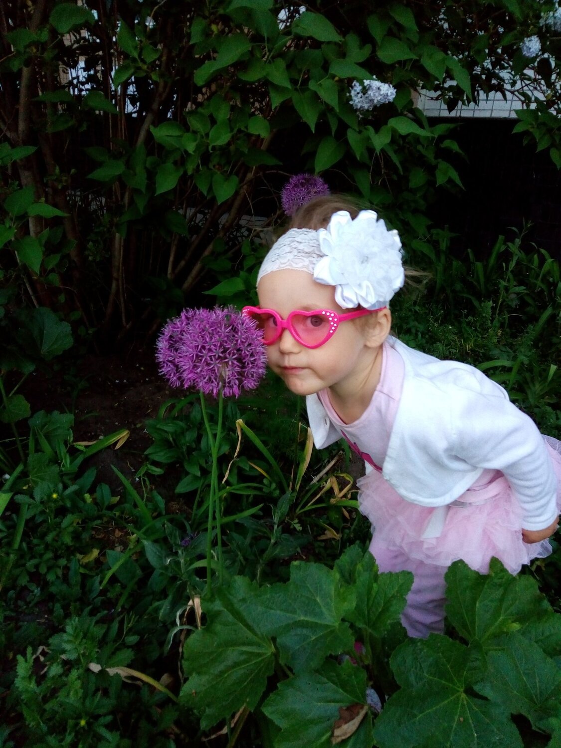 Photo #3080599