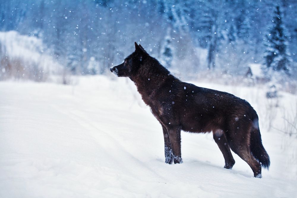 Photograph by Ирина Богатырева