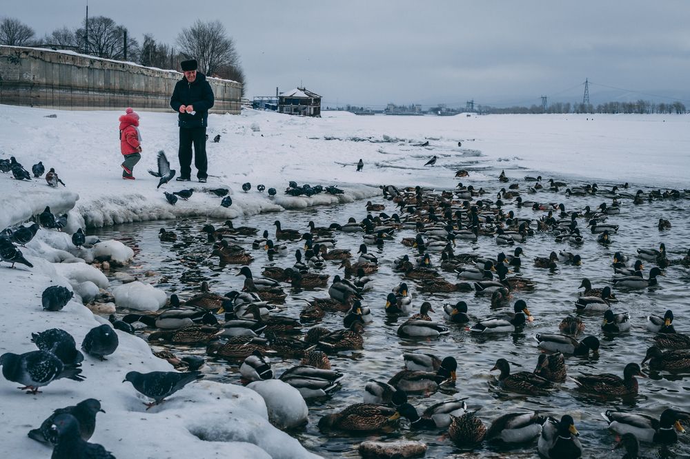 Первые числа февраля