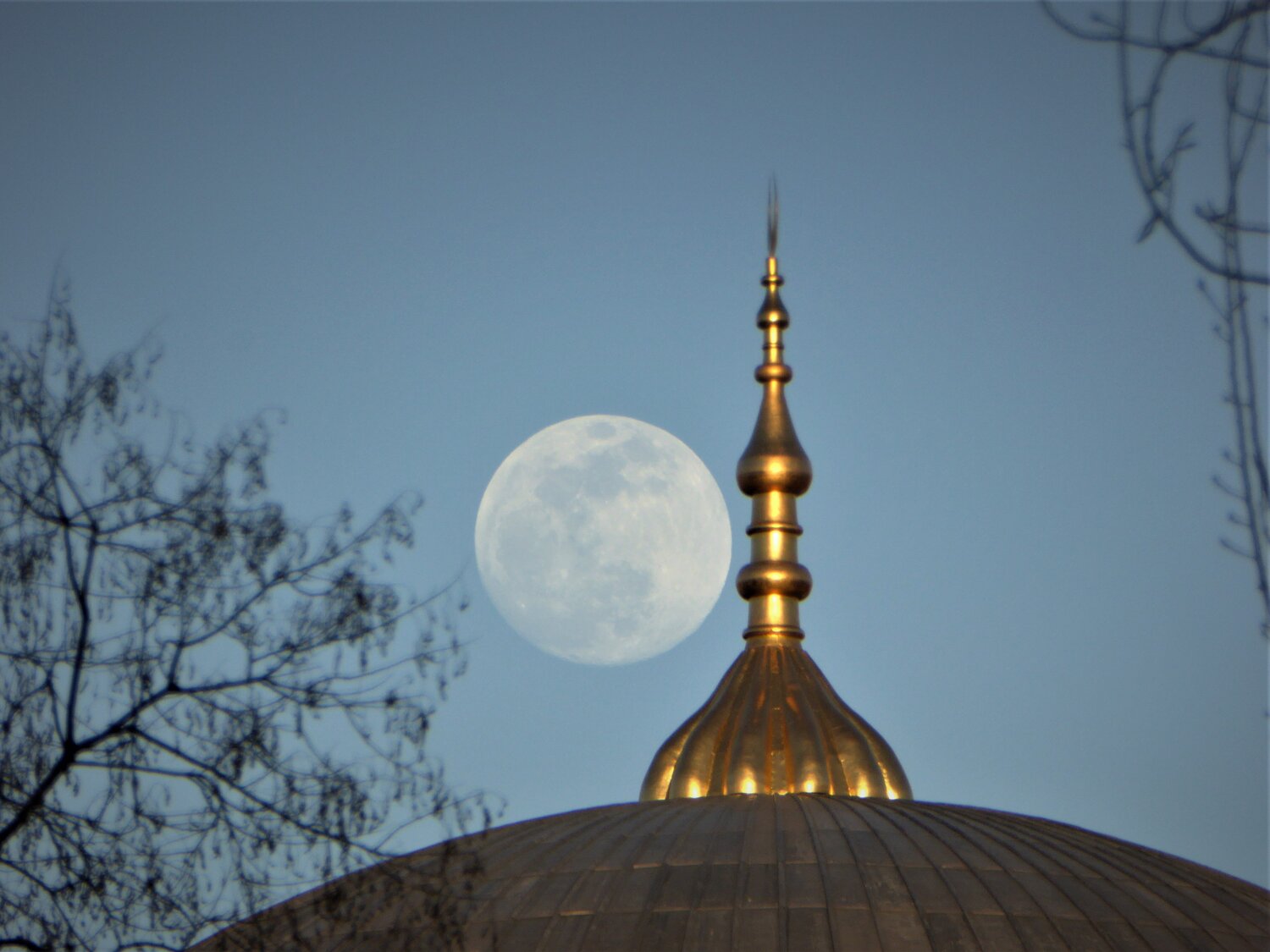 Ankara