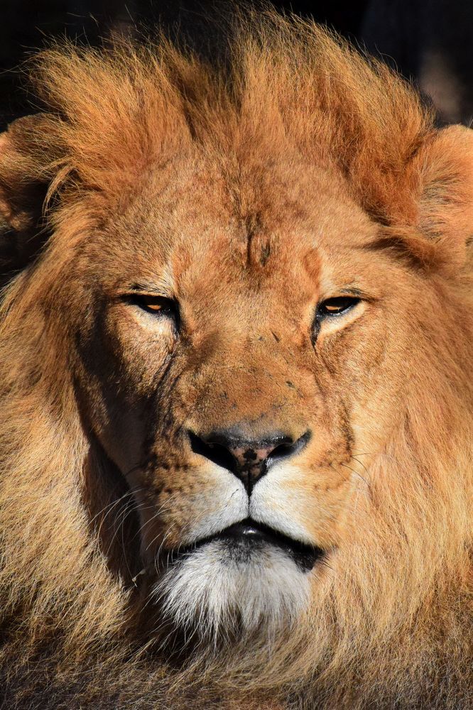 Up Close and Personal