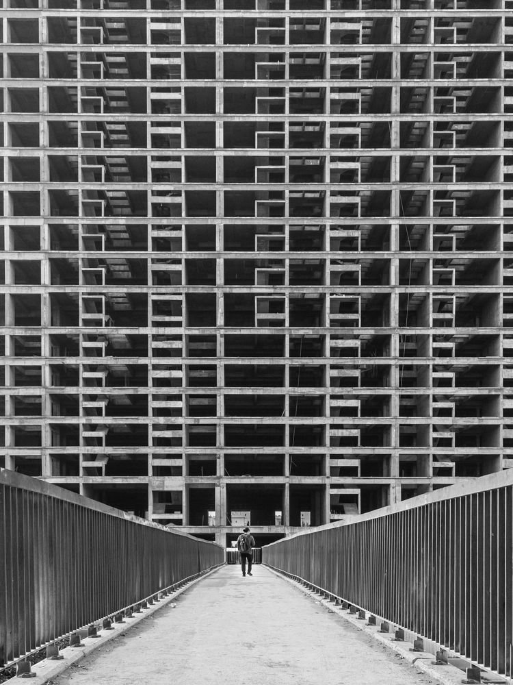 Into the Concrete Jungle