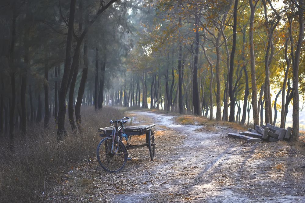 Photograph by  khan avi