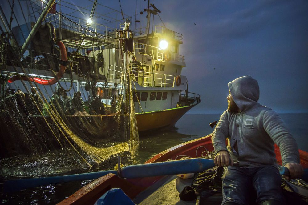 Big fish swallows small fish