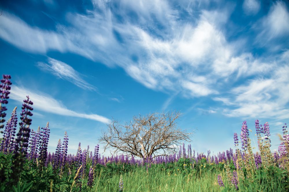 Photograph by Мария Бочкова