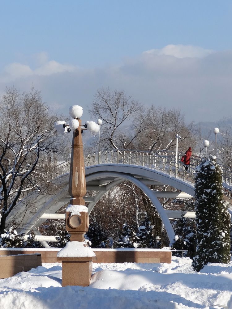 Зимний день в парке