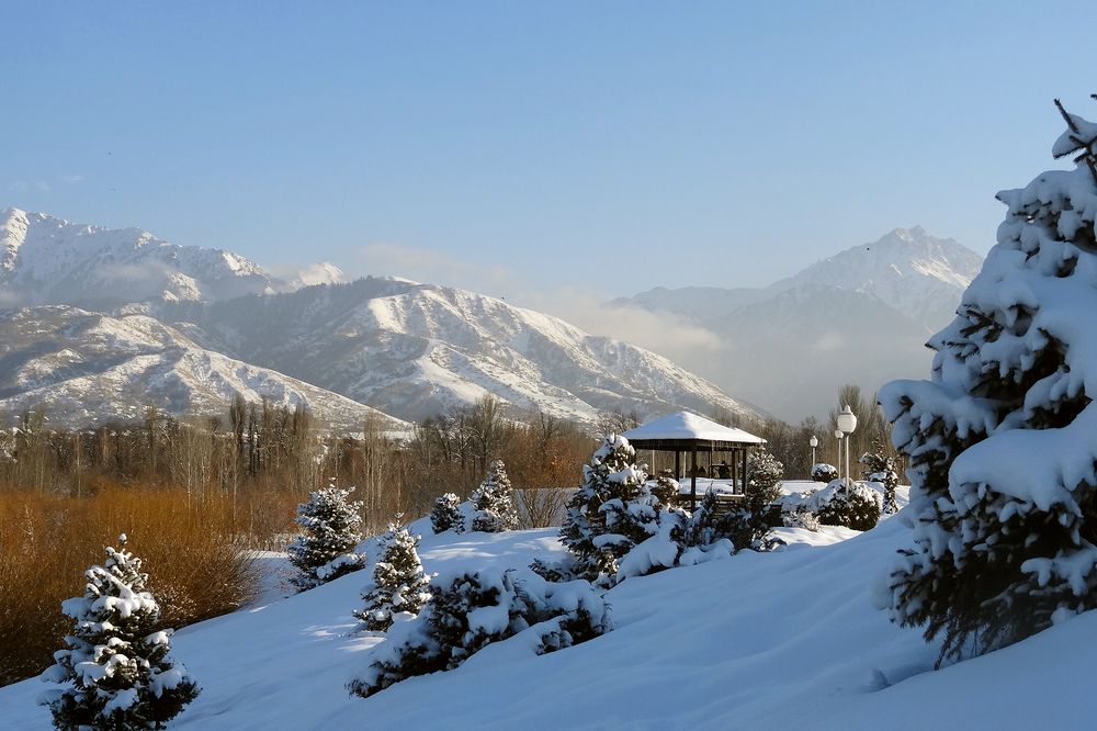 Зима в парке