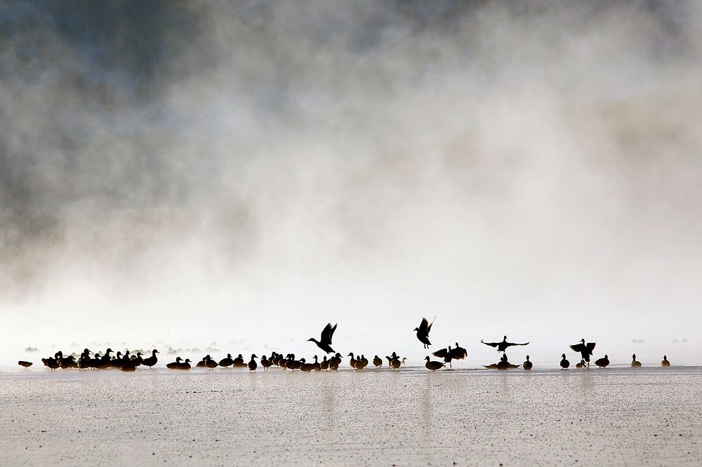 Утро на озере.