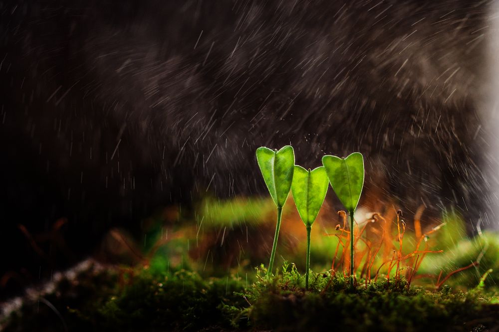 Photograph by Ольга Зайцева