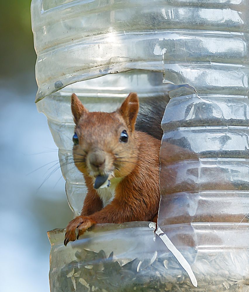 А вы что тут делаете...
