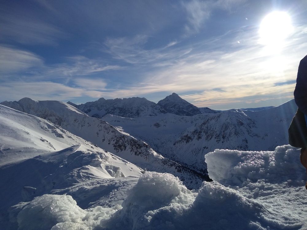 Photo #3081725