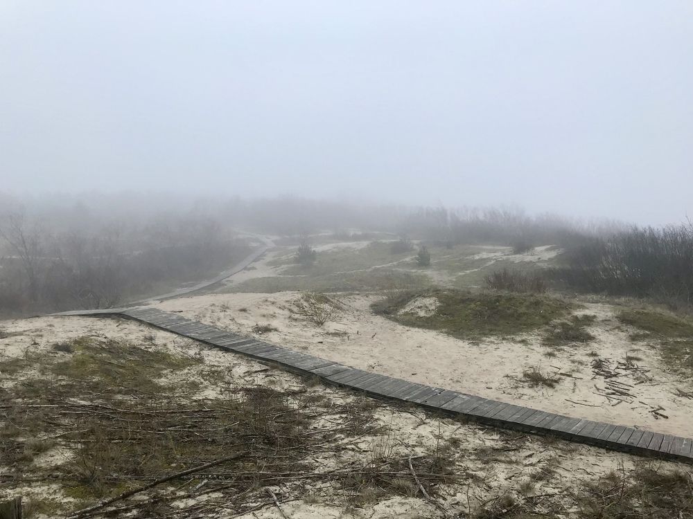 Photograph by marija baranovskaja