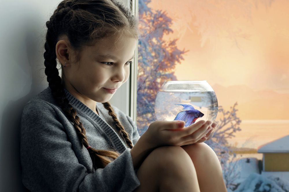 исполнение желаний