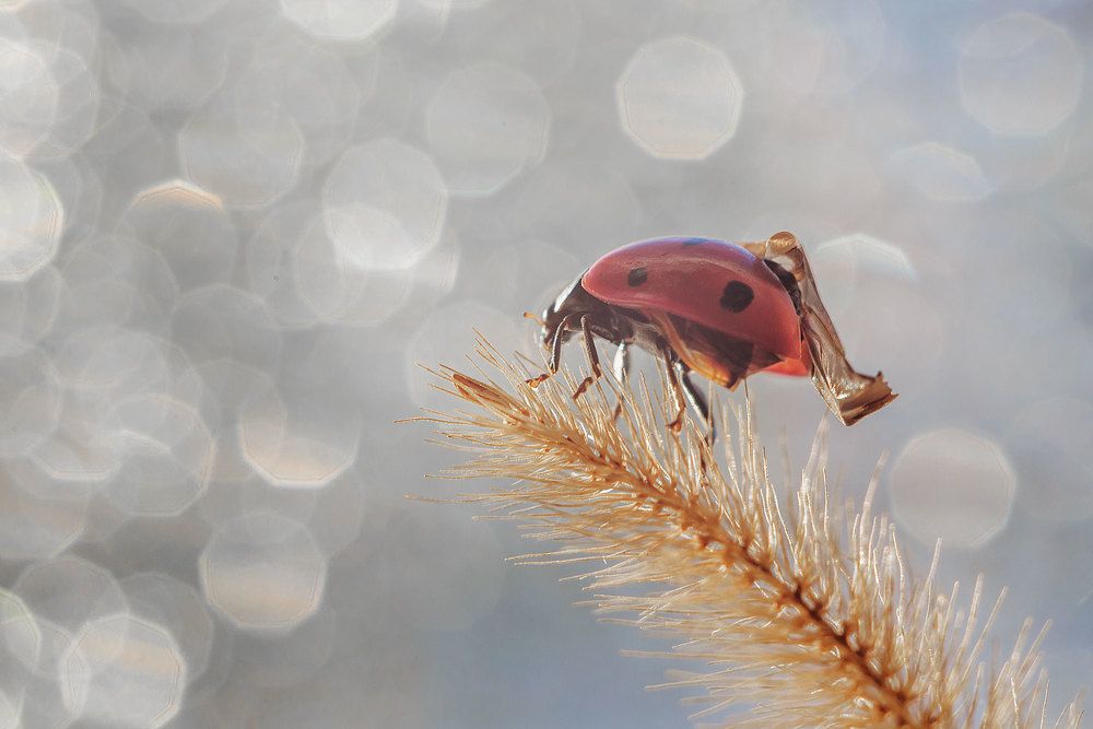 Photograph by Нурият Аллаярова