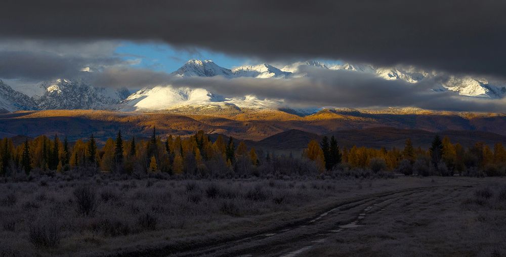 На пути к рассвету