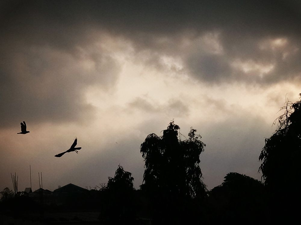 CHAINED.... to the SKY