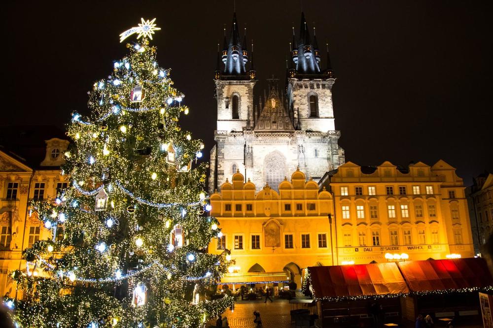 Photograph by Горбачева Марина