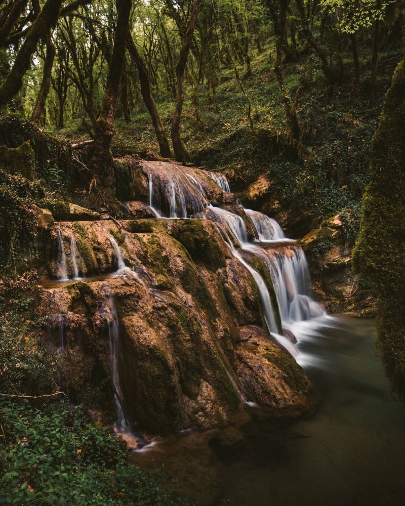 The nature