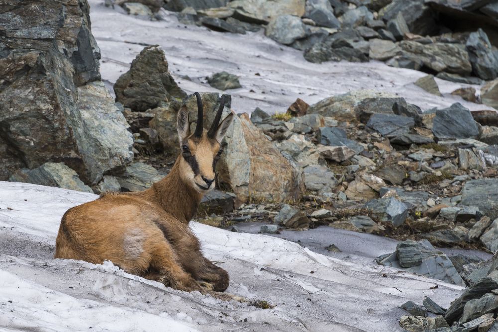 Are you looking at me?